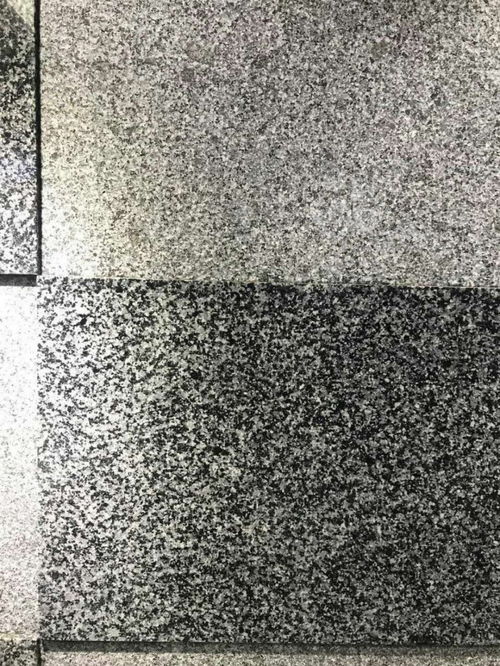 江西芝麻黑宜春礦區(qū)廠家奉新縣石材加工廠